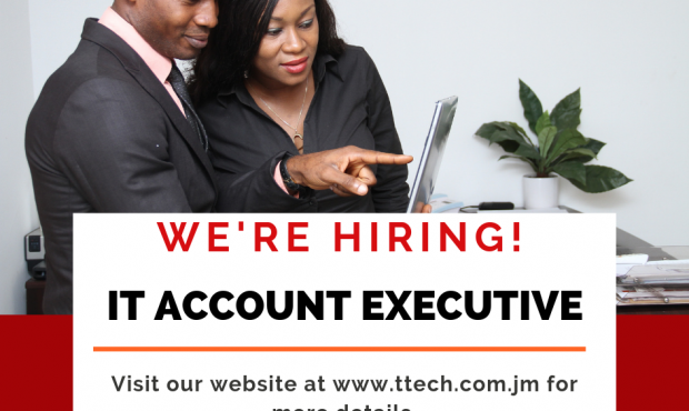 Job Opportunity for IT Account Executive