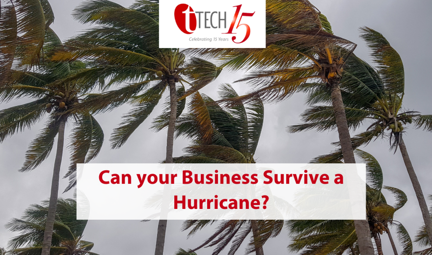 Can your Business Survive a Hurricane?