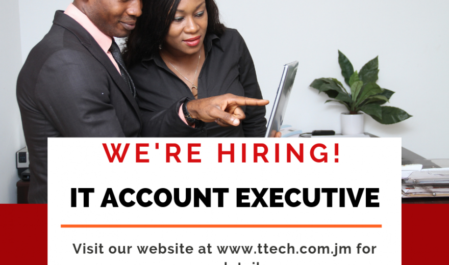 Job Opportunity for IT Account Executive