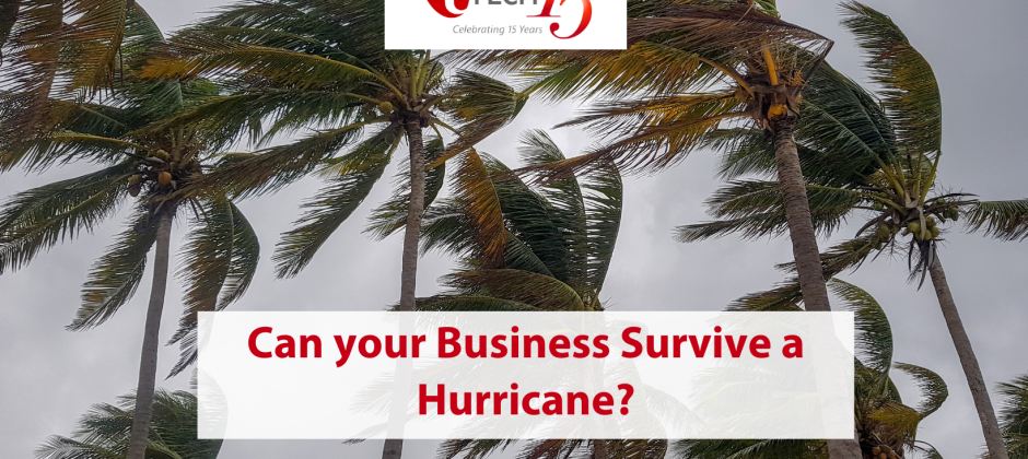 Can your Business Survive a Hurricane?